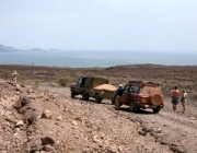 turkana