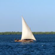 Valle e Delta del Tana, Lamu, Tsavo Est