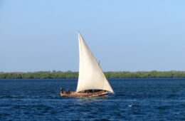 Valle e Delta del Tana, Lamu, Tsavo Est