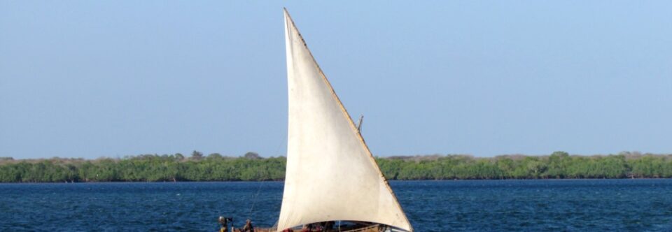 Valle e Delta del Tana, Lamu, Tsavo Est