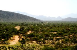 Lago Turkana da Sud (via Suguta Valley)