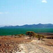 Lago Turkana, Deserto Chalbe, Lolldaiga Farm